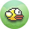 FlappyBrid